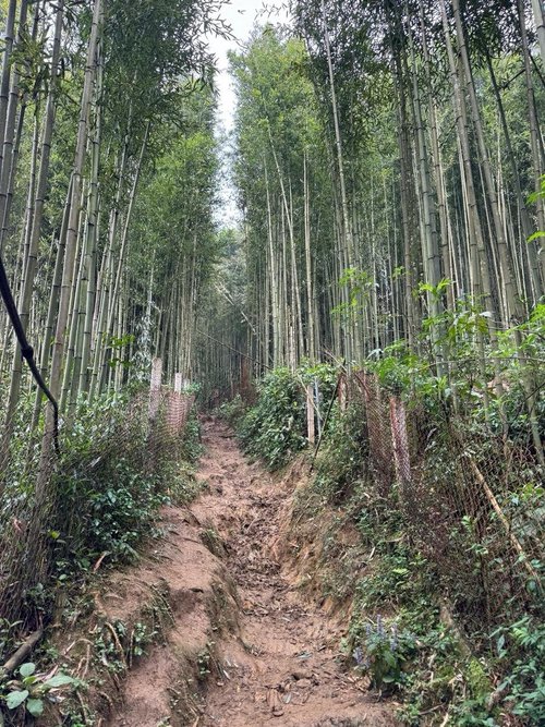 Ma Tra - Ta Phin Trek - Image 23