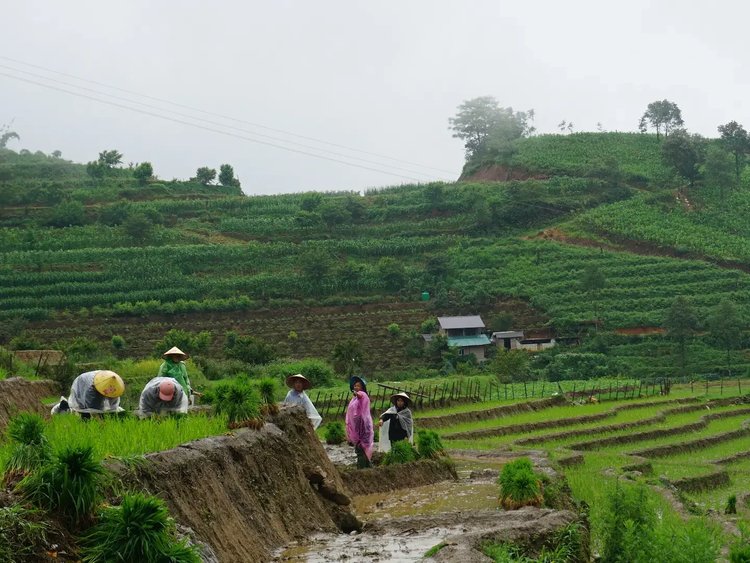 Ma Tra - Ta Phin Trek - Image 13