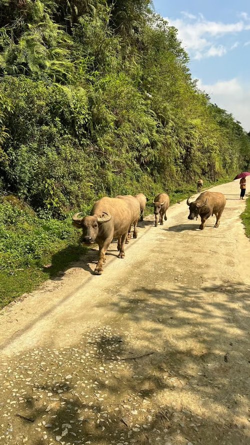 Ma Tra - Ta Phin Trek - Image 18