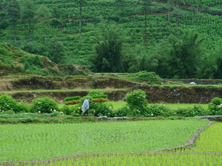 Ma Tra - Ta Phin Trek - Image 19