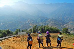 Rice Fields Trek - Image 7