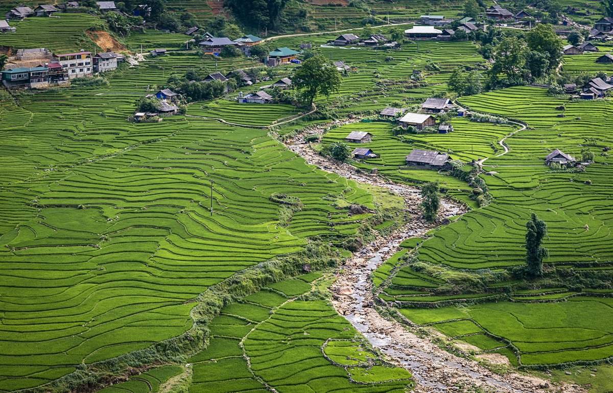 Rice Fields Trek - Image 11