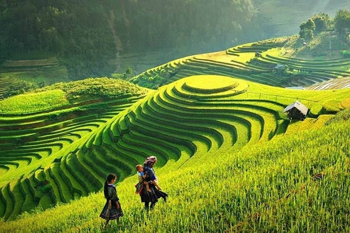 Y Linh Ho - Lao Chai - Ta Van Trek