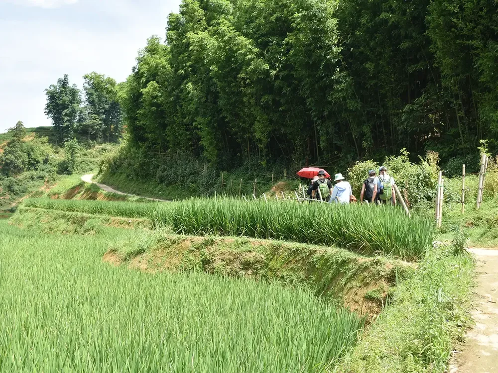 Y Linh Ho - Lao Chai - Ta Van - Giang Ta Chai Trek - Image 11
