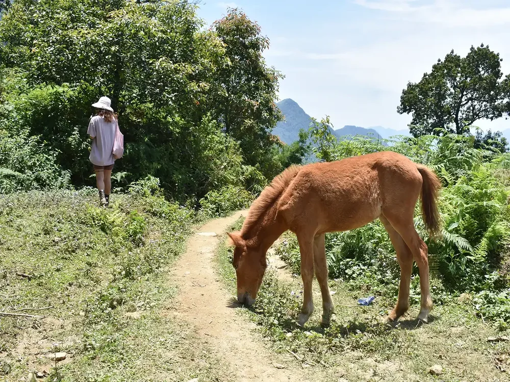 Y Linh Ho - Lao Chai - Ta Van - Giang Ta Chai Trek - Image 15