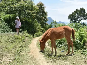 Y Linh Ho - Lao Chai - Ta Van - Giang Ta Chai Trek - Image 9