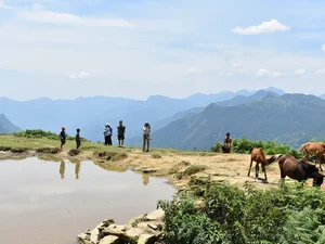Y Linh Ho - Lao Chai - Ta Van - Giang Ta Chai Trek - Image 10